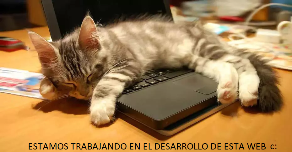 Trabajando